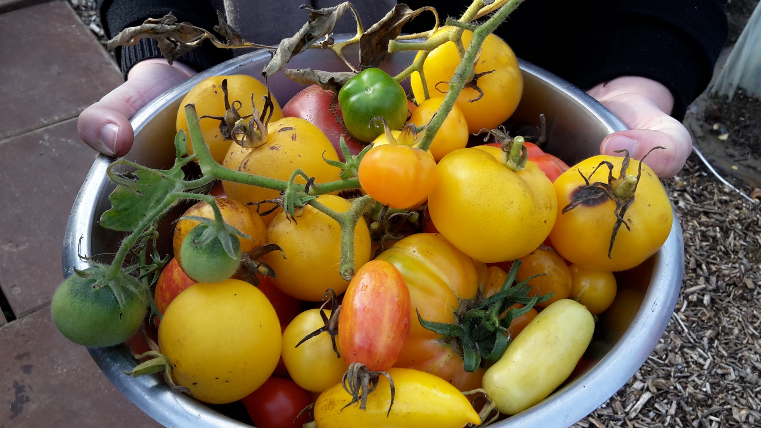 Susis Farm in Elsfleth