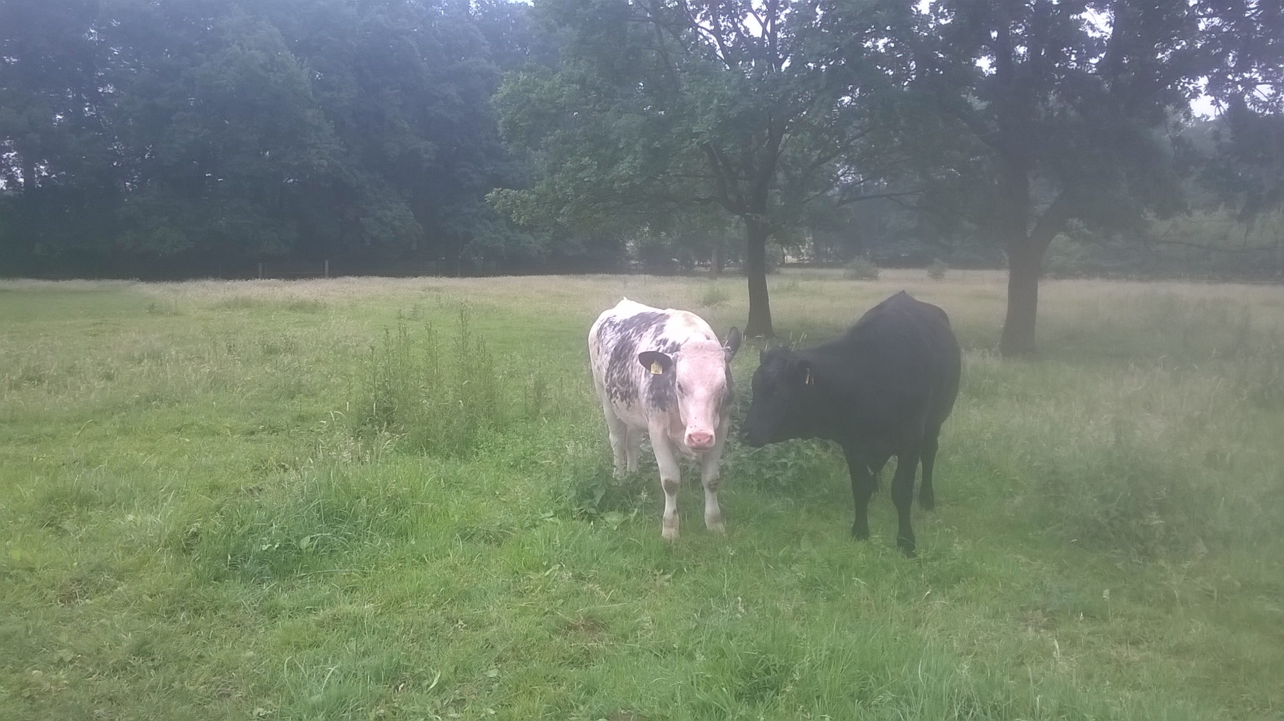 Hof Pleus in Prinzhöfte