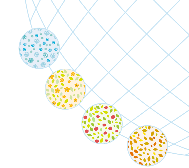 Werde Referent:in für Globales Lernen im Wandel